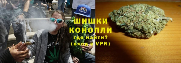 PSILOCYBIN Вязники