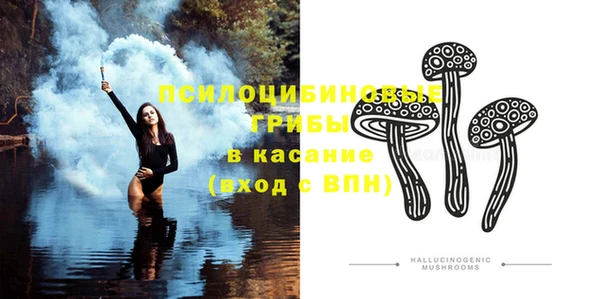 прущая мука Горно-Алтайск