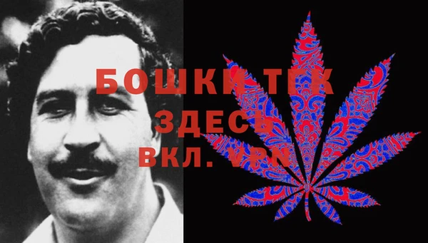 PSILOCYBIN Вязники