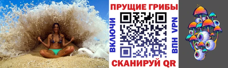 OMG как войти  где можно купить наркотик  Кашира  Галлюциногенные грибы MAGIC MUSHROOMS 